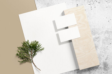Clean minimal business card and paper A4 mockup on background with conifer