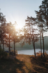 Distance view. Morning landscape. Pine forest, sun rays, glow, river lake, mountains. Summer camping warm colors. Tourism and vacation. Vertical photo.