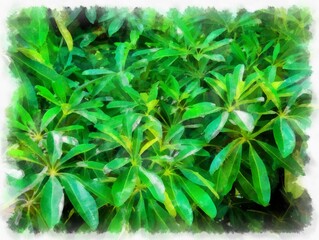 bushes with lobed leaves watercolor style illustration impressionist painting.