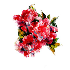 PEONY FLOWERS. Oil paint. The drawing is handmade with strokes. Red picturesque peonies. Isolated drawing with graphics.