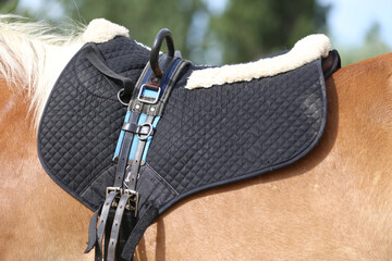 Close up of a sport horse saddle. Quality classical leather saddle