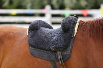 Close up of a sport horse saddle. Quality classical leather saddle