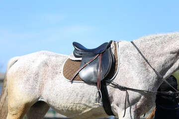 Close up of a sport horse saddle. Quality classical leather saddle