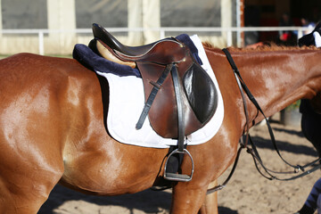 Close up of a sport horse saddle. Quality classical leather saddle