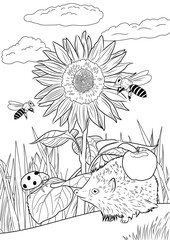Design for coloring book. Blooming sunflower with bees. Cute hedgehog with an apple on his back. Cartoon flat illustration. Forest, animal life