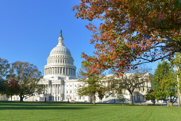 US Capitol building and autumn foliage - Washington DC United States