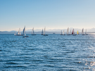 Amazing yachts and blue sea. Photo of sailboats sailing on ocean. Olympic Sculpture Park. Seattle. USA