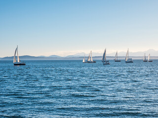 Amazing yachts and blue sea. Photo of sailboats sailing on ocean. Olympic Sculpture Park. Seattle. USA