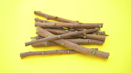 Herbal neem leaves and branch over white background. Medicinal neem twigs