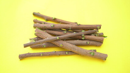 Herbal neem leaves and branch over white background. Medicinal neem twigs