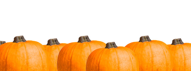 Banner with pumpkin decorative border isolated on white background. Halloween party, autumn season, harvest concept. Copy space