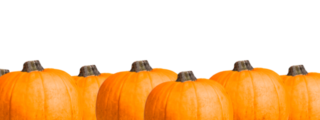 Banner with pumpkin decorative border isolated on white background. Halloween party, autumn season, harvest concept. Copy space