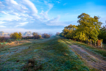 autumn landscape with trees