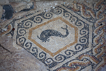 Obraz na płótnie Canvas Ancient Roman mosaic depicting a whale in the ruins of Scythopolis, Beit She'an
