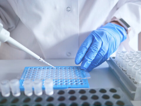 Laboratory Scientist Working At Lab With Micropipette, And 96 Well Plate . Laboratory Concept, Woman Technician Chemist Works With Test Tubes . Medical Diagnostics, Research And Genetic Cancer Science