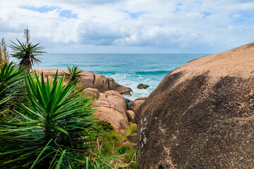 Scenic coastline with tropical plants, rocks and blue ocean.