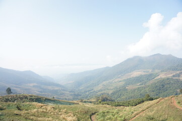 Obraz premium view of the mountains