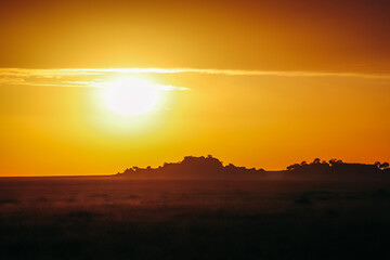 Serengeti sunrise