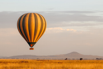 Obraz premium Hot air balloon in the Serengeti