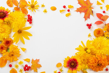 autumn flowers and leaves on white paper background