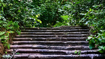 Old ruined stone staircase overgrown with impenetrable green bushes