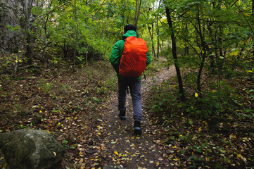 A tourist with a red backpack walks along a mountain path in the forest in spring or autumn. Traveler, tourist in autumn landscape. Mountains and trekking