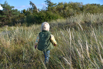 Naklejka na ściany i meble Little blond toddler boy walking outdoors in Baltic dunes