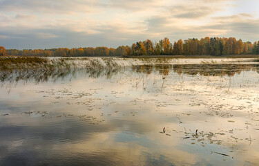 Autumn landscape on Lake Vuoksa in the Leningrad region.