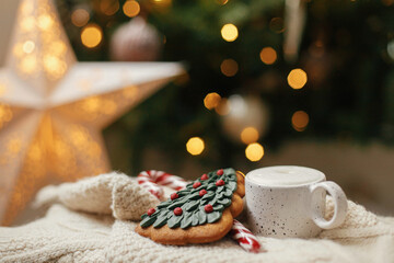 Fototapeta na wymiar Warm cup of coffee, christmas tree gingerbread cookie and candy cane on knitted sweater on background of christmas tree with lights. Atmospheric winter hygge. Christmas banner