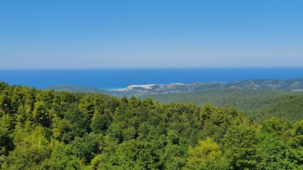 Foresta Umbra Gargano