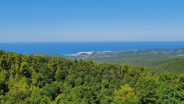 Foresta Umbra Gargano