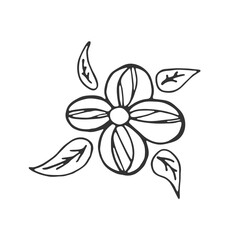 Hand drawn flower isolated on white background. Decorative doodle sketch illustration. Vector floral element.