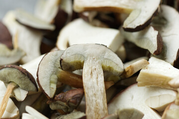 Preparation of mushrooms for drying. View from above. Macro. Selective focus. 