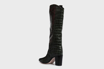 Emerald Green women's knee high boot in crocodile skin leather. isolated on white background. Female classic glossy fashion shoe with Pointy Toe, high heel. Behind. Template, mock up