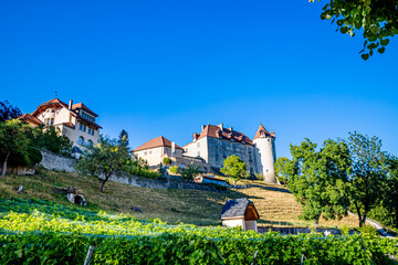 Le Chateau de la Cité médiévale de Gruyères en Suisse