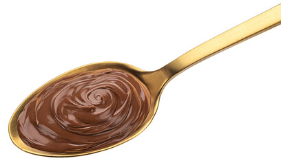 Hazelnut cream in spoon isolated 