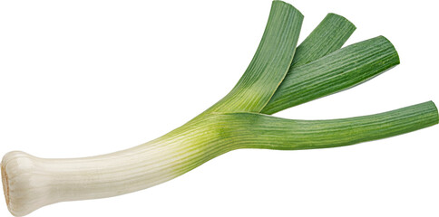 Leek isolated, green onion