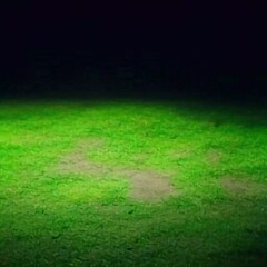 green grass field with spotlight 