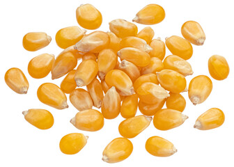 Heap of raw corn grains isolated