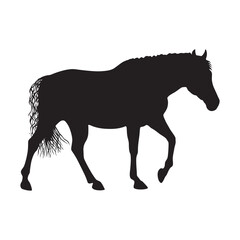 vector graphic illustration with black horse silhouette