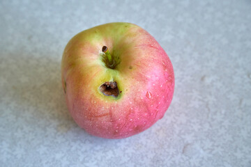 Rotten and wormy worm apple lying on table.