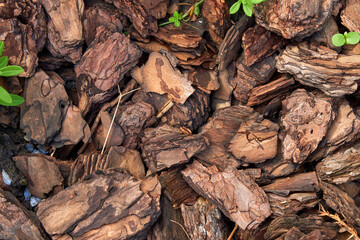 Texture made of pieces of tree bark, decorative decoration.