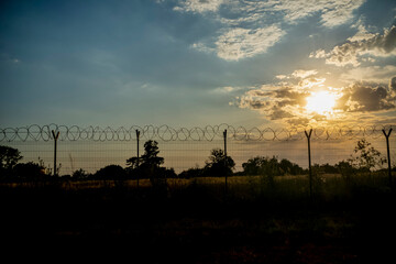 Obraz premium sunset over the field
