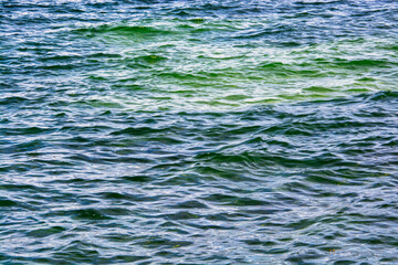 le bleu du lac L&eacute;man