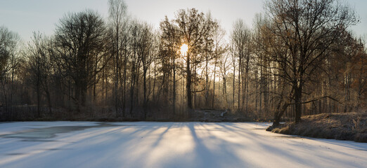 Fototapeta na wymiar Sun comes over park trees in frosty morning
