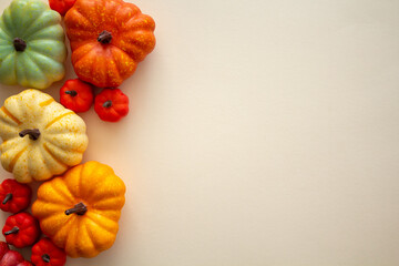 fall botanicals on a backdrop