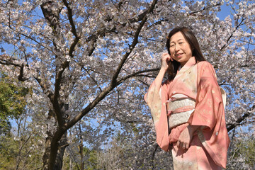 桜と和服女性