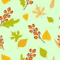 Fototapeta na wymiar Autumn leaves and berries hand drawn elements in cartoon style. Vector seamless pattern in light colors.