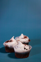 chocolate cupcake with a white buttercream, blue background with copy space 