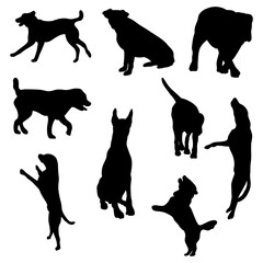 silhouette of dog activities set vector